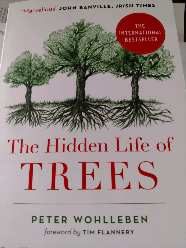 the hidden life of trees