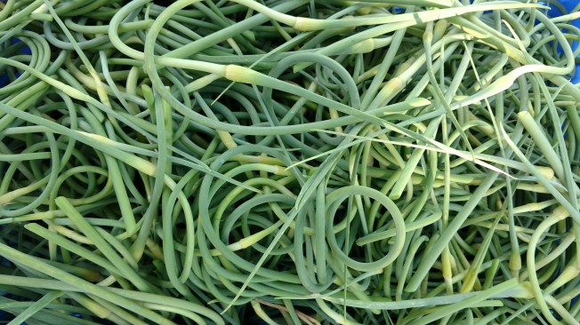 garlic scapes