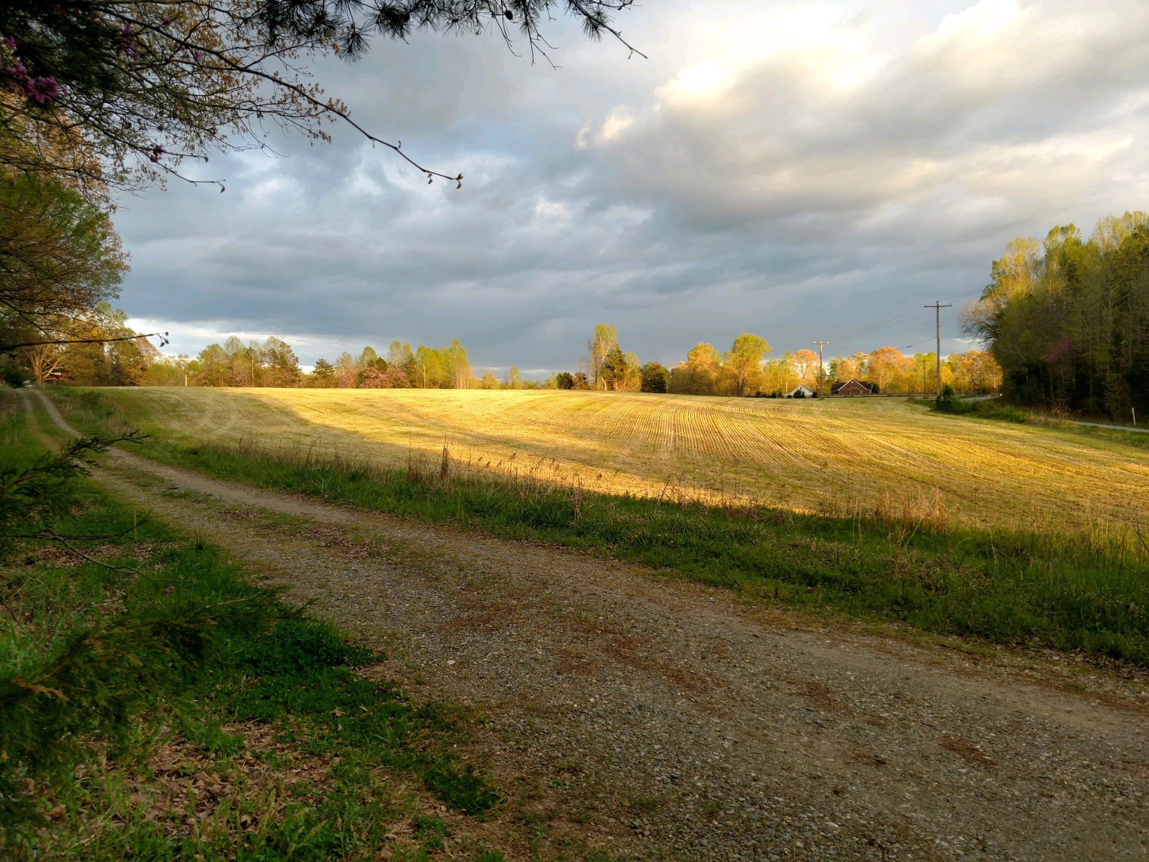view to the east 1 April 2020