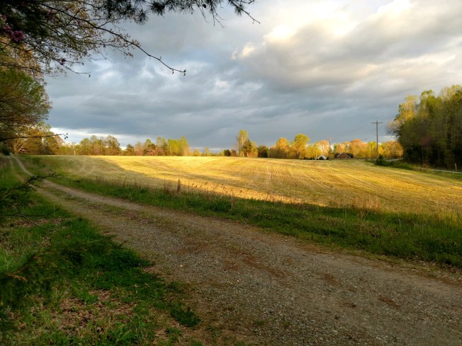 view to the east 1 April 2020